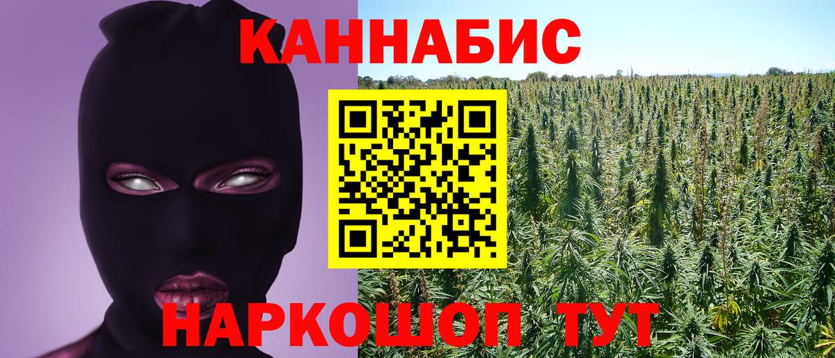 Бошки Шишки гибрид  Вход с VPN  Электрогорск  МАРИХУАНА сатива  Шишки марихуана AK-47  Бошки Шишки VHQ 